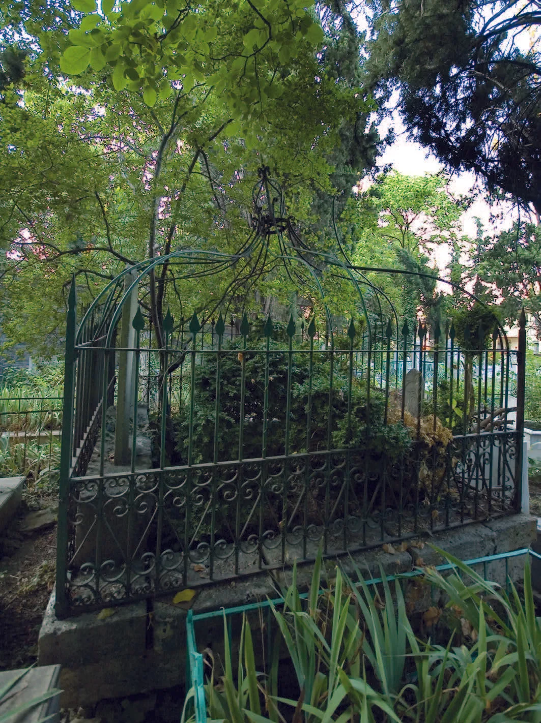 Molla Zeyrek