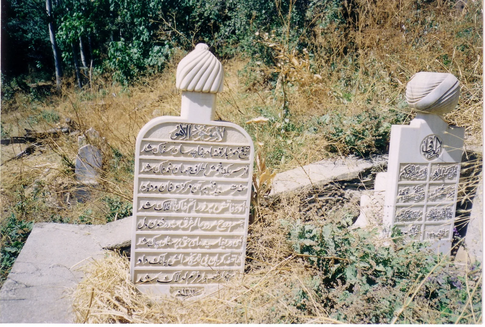 Seyyid Fehim Arvasi (k.s.)
