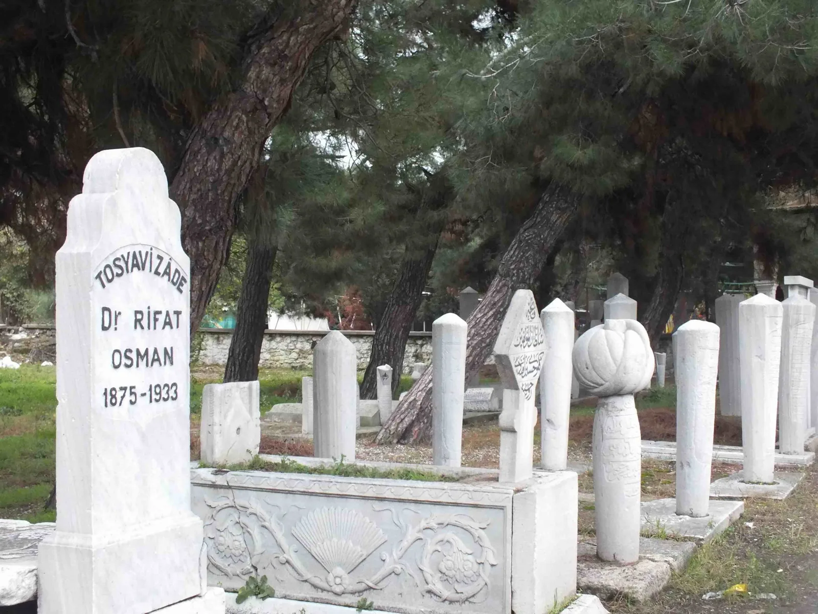 Ali Bin Emrullah