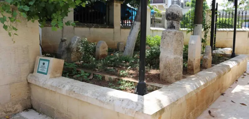Şeyh Ali Zülfo (Şeyh Ali Zülfikar)