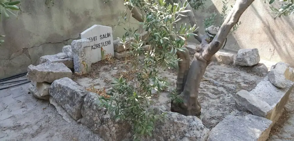 Seyyid Salih Hz.