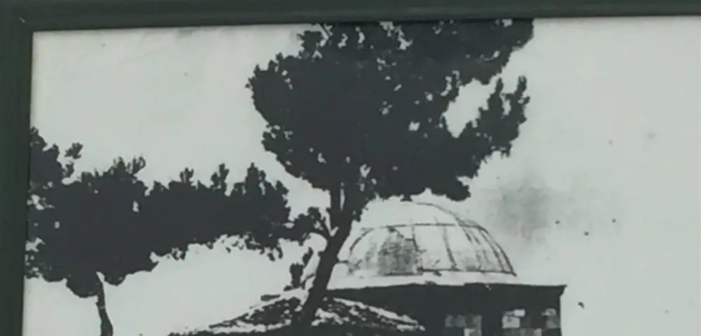 Ayni Ali Hz.