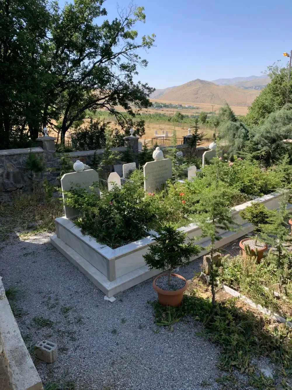 Seyyid Ali Hz.