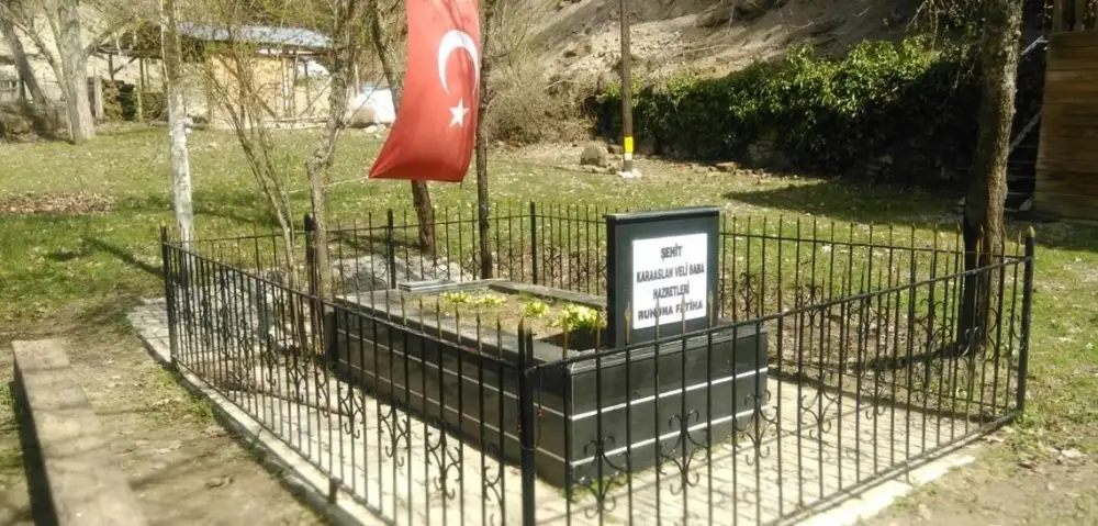 Kara Aslan Hz.