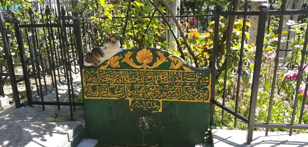 Karabaş Hz.