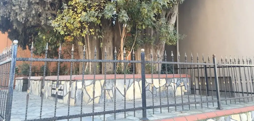 Şeyh Kemikli Hz. (Ali Baba)