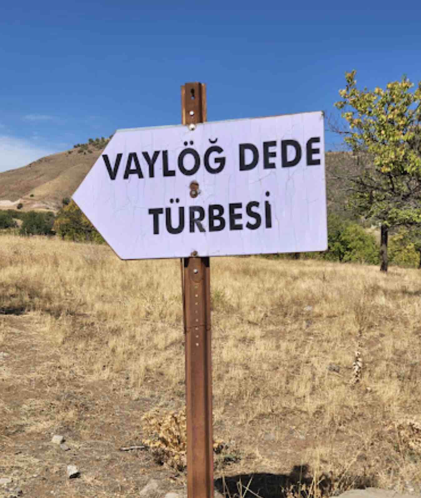 Vayloğ Dede