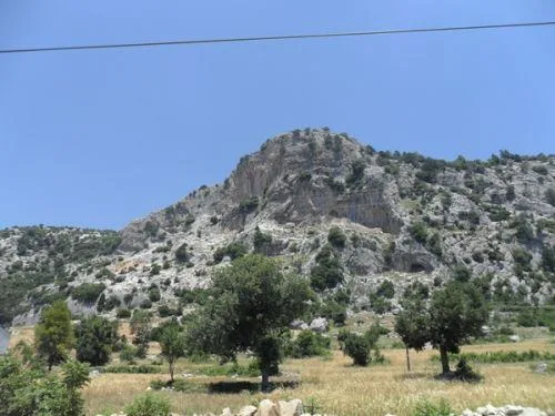 Ağaçalanı Türbesi